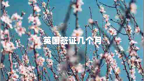 英國簽證幾個(gè)月