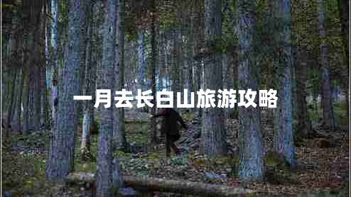 一月去長(cháng)白山旅游攻略