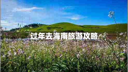 過(guò)年去海南旅游攻略