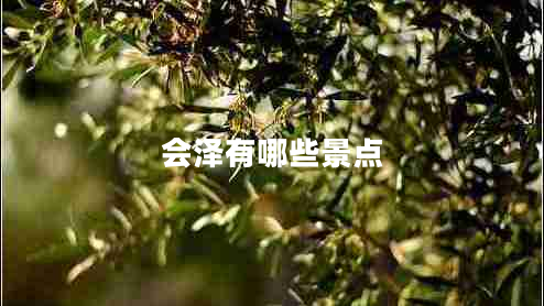 會(huì )澤有哪些景點(diǎn)