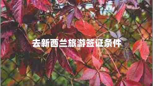 去新西蘭旅游簽證條件