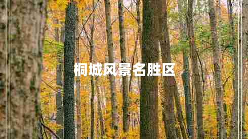 桐城風(fēng)景名勝區