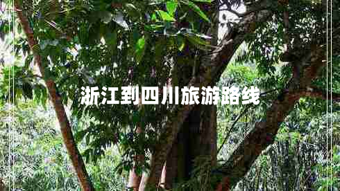 浙江到四川旅游路線(xiàn)