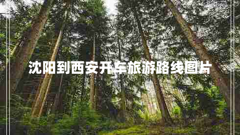 沈陽(yáng)到西安開(kāi)車(chē)旅游路線(xiàn)圖片