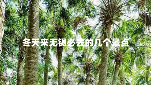 冬天來(lái)無(wú)錫必去的幾個(gè)景點(diǎn)