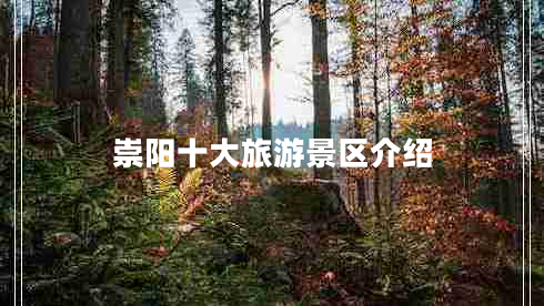 崇陽(yáng)十大旅游景區介紹