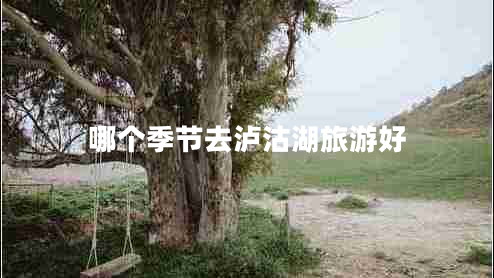 哪個(gè)季節去瀘沽湖旅游好