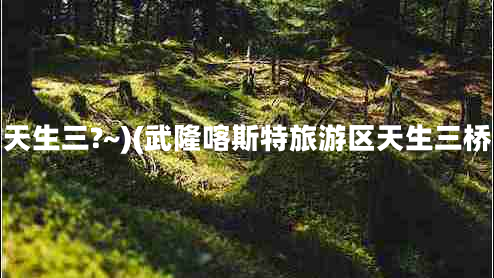 天生三?~)(武隆喀斯特旅游區天生三橋
