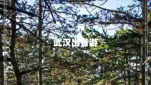 武漢出省游