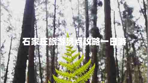 石家莊旅游景點(diǎn)攻略一日游