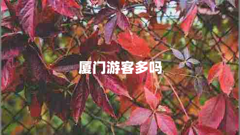 廈門(mén)游客多嗎