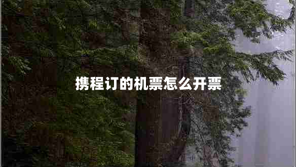 攜程訂的機票怎么開(kāi)票