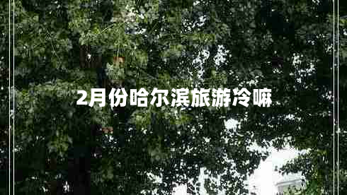 2月份哈爾濱旅游冷嘛