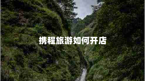 攜程旅游如何開(kāi)店