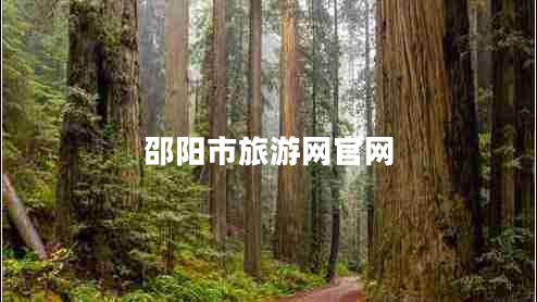 邵陽(yáng)市旅游網(wǎng)官網(wǎng)