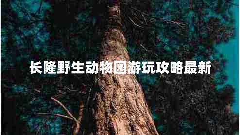 長(cháng)隆野生動(dòng)物園游玩攻略最新