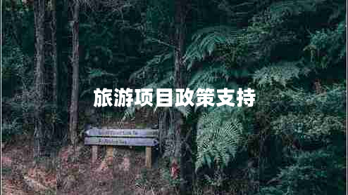 旅游項目政策支持