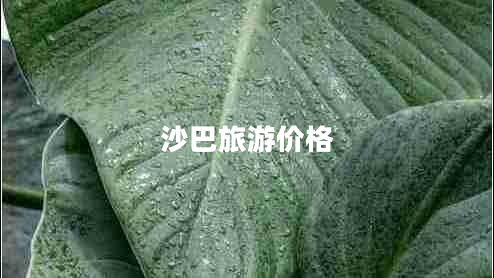 沙巴旅游價(jià)格