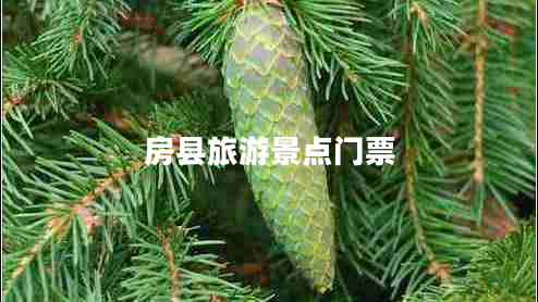 房縣旅游景點(diǎn)門(mén)票
