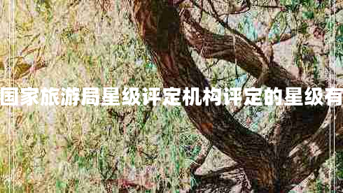 國家旅游局星級評定機構評定的星級有