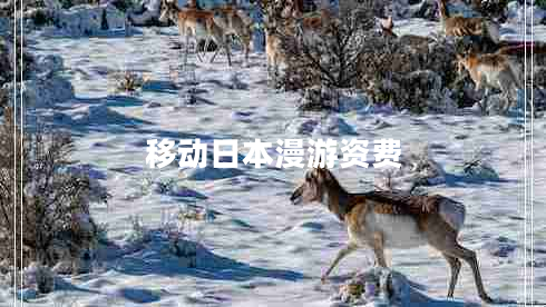 移動(dòng)日本漫游資費
