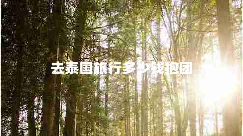 去泰國旅行多少錢(qián)抱團