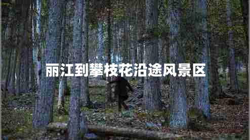 麗江到攀枝花沿途風(fēng)景區