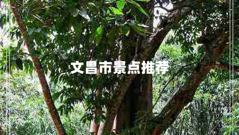 文昌市景點(diǎn)推薦