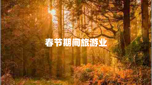 春節期間旅游業(yè)