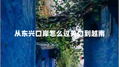 從東興口岸怎么過(guò)關(guān)口到越南