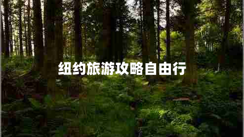 紐約旅游攻略自由行