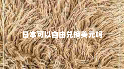 日本可以自由兌換美元嗎