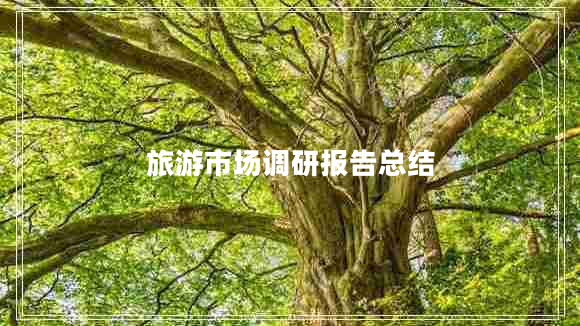 旅游市場(chǎng)調研報告總結
