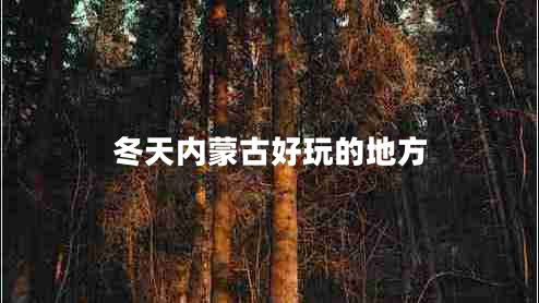 冬天內蒙古好玩的地方