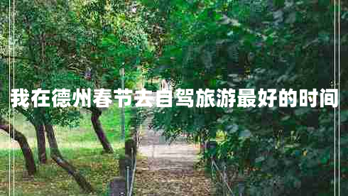 我在德州春節去自駕旅游最好的時(shí)間