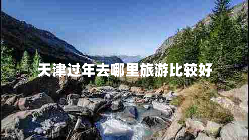 天津過(guò)年去哪里旅游比較好