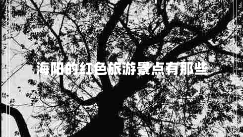 海陽(yáng)的紅色旅游景點(diǎn)有那些