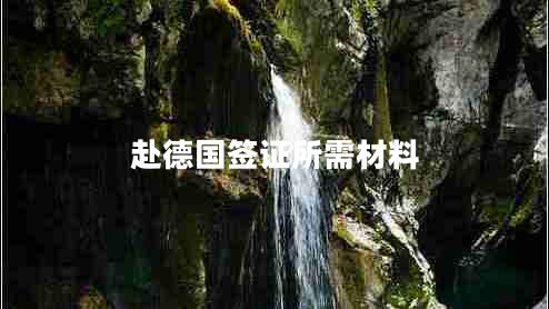 赴德國簽證所需材料
