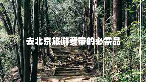 去北京旅游要帶的必需品
