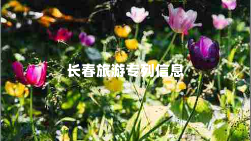 長(cháng)春旅游專(zhuān)列信息