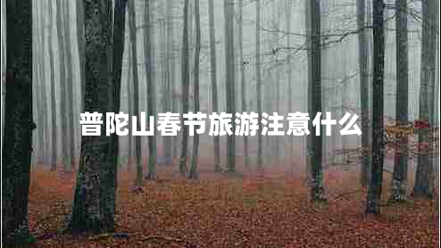 普陀山春節旅游注意什么