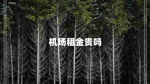 機場(chǎng)租金貴嗎