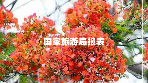 國家旅游局報表