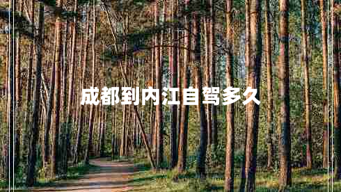 成都到內江自駕多久
