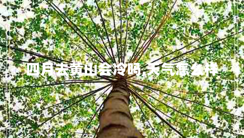 四月去黃山會(huì )冷嗎,天氣怎么樣