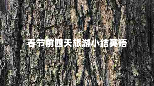 春節前四天旅游小結英語(yǔ)
