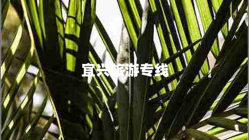宜興旅游專(zhuān)線(xiàn)