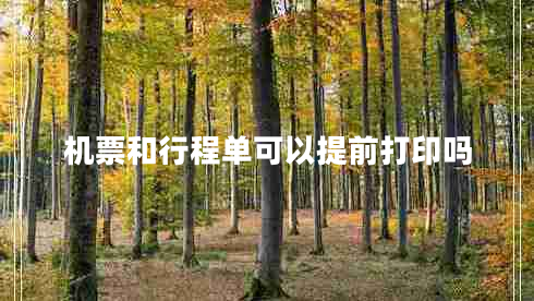 機票和行程單可以提前打印嗎