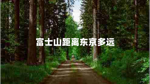 富士山距離東京多遠