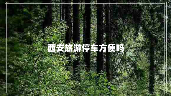 西安旅游停車(chē)方便嗎